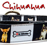 Chihuahua dog collar handmade adjustable buckle collar 1" or 5/8" wide or leash Petcollarshandmade