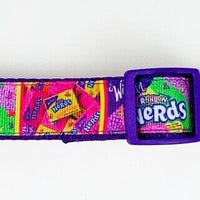 Nerds Candy dog collar handmade adjustable buckle collar 1" wide or leash Petcollarshandmade