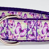 Butterflies dog collar handmade adjustable buckle collar 1" wide or leash Petcollarshandmade