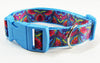 Paisley dog collar handmade adjustable buckle collar 1" wide or leash Petcollarshandmade