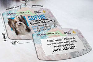 Massachusetts Drivers License Pet ID tags Personalized Pet ID Tag aluminum