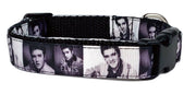 Elvis dog collar handmade adjustable buckle collar 5/8" wide or leash fabric - Furrypetbeds