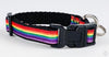 Rainbow Pride cat or small dog collar 1/2"wide adjustable handmade bell or leash