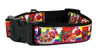 Fruit Loops dog collar handmade adjustable buckle collar 1" wide or leash - Furrypetbeds