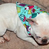 Skulls,Dog Bandana, Over the Collar dog bandana, Dog collar bandana,puppy