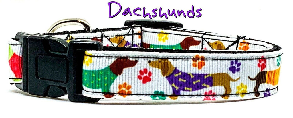 Dachshund dog collar handmade adjustable buckle collar 5/8" wide or leash