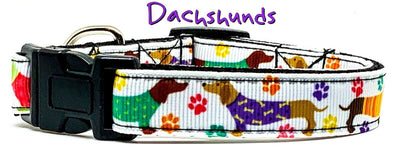 Dachshund dog collar handmade adjustable buckle collar 5/8