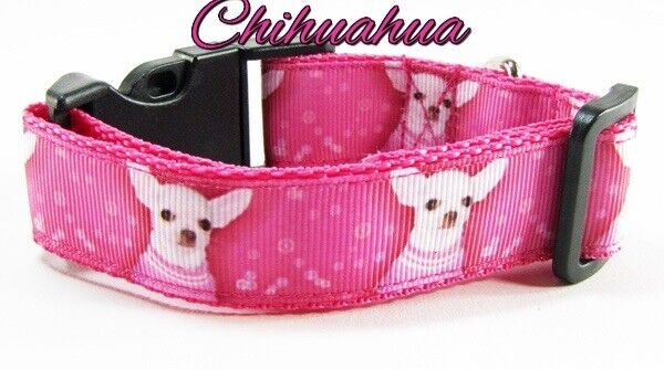 Chihuahua dog collar handmade adjustable buckle collar 1" or 5/8" wide or leash