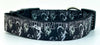 Led Zeppelin dog collar Handmade adjustable buckle 1" or 5/8"wide or leash Rock Petcollarshandmade