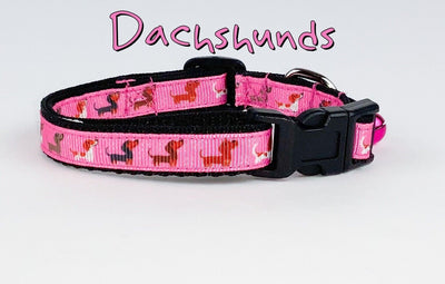 Dachshunds cat or small dog collar 1/2