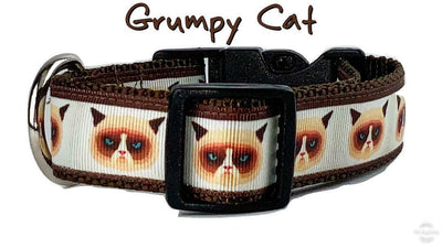 Grumpy Cat dog collar handmade adjustable buckle collar 1