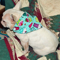 Winnie The Pooh dog collar handmade adjustable buckle collar 5/8" wide or leash
