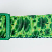 St. Pattys Day 4 leaf clover dog collar handmade adjustable buckle collar 1" wide Petcollarshandmade