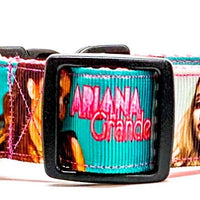 Ariana Grande dog collar Handmade adjustable buckle 1"wide or leash Pop music