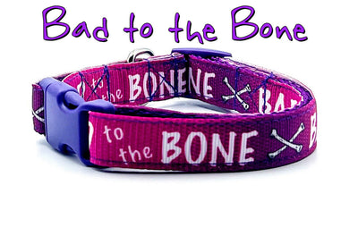 Bad to the Bone dog collar handmade adjustable buckle collar 5/8