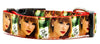 Taylor Swift dog collar Handmade adjustable buckle 1" or 5/8" wide Country Pop