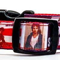 Bruce Springsteen dog collar handmade adjustable buckle collar 5/8"wide or leash
