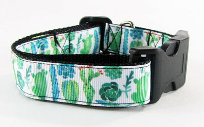 Cactus dog collar handmade 12.00 all sizes adjustable buckle collar 1