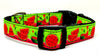 Watermelon dog collar handmade adjustable buckle collar 5/8" wide or leash