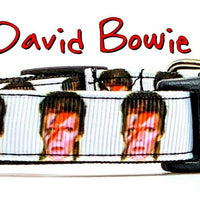 David Bowie dog collar handmade adjustable buckle collar 5/8" wide or leash - Furrypetbeds