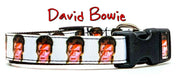 David Bowie dog collar handmade adjustable buckle collar 5/8" wide or leash - Furrypetbeds