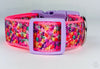 Valentine hearts dog collar handmade adjustable buckle collar 1"wide or leash - Furrypetbeds