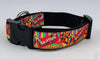 Skittles dog collar Handmade adjustable buckle collar 1"wide or leash