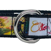 Elton John dog collar Rock N Roll handmade adjustable buckle 1"or 5/8" wide Petcollarshandmade