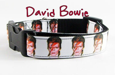 David Bowie dog collar Handmade adjustable buckle collar 1