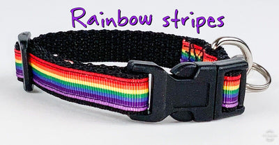 Rainbow Pride cat or small dog collar 1/2
