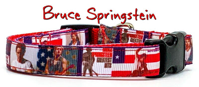Bruce Springsteen dog collar handmade adjustable buckle collar 5/8