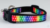 Rainbow dots cat or small dog collar 1/2" wide adjustable handmade bell or leash Petcollarshandmade