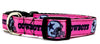 Dallas Cowboys dog collar handmade adjustable buckle collar 5/8" wide pink