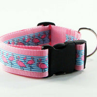 M&M's candy dog collar handmade adjustable buckle collar 1" wide or leash - Furrypetbeds