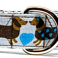 Dachshund dog collar handmade adjustable buckle collar 1" wide or leash Boy blue - Furrypetbeds