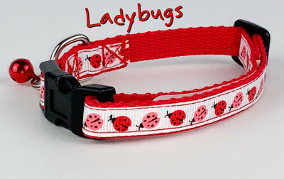 Ladybugs cat & small dog collar 1/2