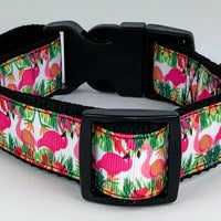 Pink Flamingo dog collar Handmade adjustable buckle collar 1" wide or leash $12 - Furrypetbeds