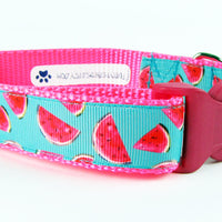 Watermelon dog collar handmade adjustable buckle collar 1" wide or leash