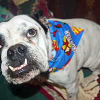 Rock N Roll Classic Dog Bandana Over the Collar dog bandana Dog collar bandana