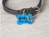 Goofy dog collar handmade adjustable buckle collar 1" or 5/8" wide or leash