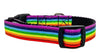 Rainbow Pride dog collar handmade adjustable buckle collar 5/8" wide or leash