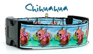Chihuahua dog collar handmade adjustable buckle collar 1" wide or leash