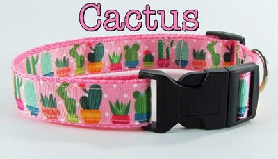 Cactus girl dog collar handmade adjustable buckle collar 1