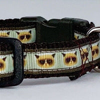 Grumpy Cat  cat or small dog collar 1/2" wide adjustable handmade bell or leash Petcollarshandmade