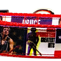 Bruce Springsteen dog collar Handmade adjustable buckle 1" or 5/8" wide Rock