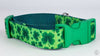 St. Pattys Day 4 leaf clover dog collar handmade adjustable buckle collar 1" wide Petcollarshandmade