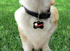 Horror characters dog collar handmade adjustable buckle collar 1"wide leash - Furrypetbeds