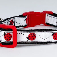 Ladybugs cat or small dog collar 1/2" wide adjustable handmade bell or leash Petcollarshandmade