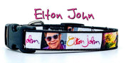 Elton John dog collar handmade adjustable buckle 5/8" wide or leash Rock N Roll Petcollarshandmade