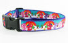 Care Bears dog collar handmade adjustable buckle collar 1" wide or leash fabric Petcollarshandmade